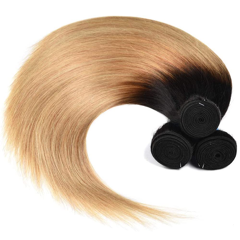 Ombre Black & Ash Blonde (1B/27) Straight 100% Virgin Human Hair Bundles | Sleek Two-Tone