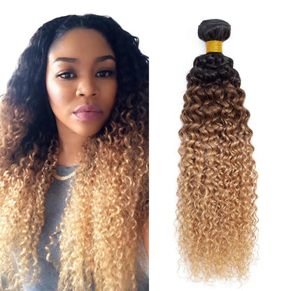 Ombre Black & Brown & Blonde (1B/4/27) Jerry Curl 100% Virgin Human Hair Bundles | Three-Tone Curls