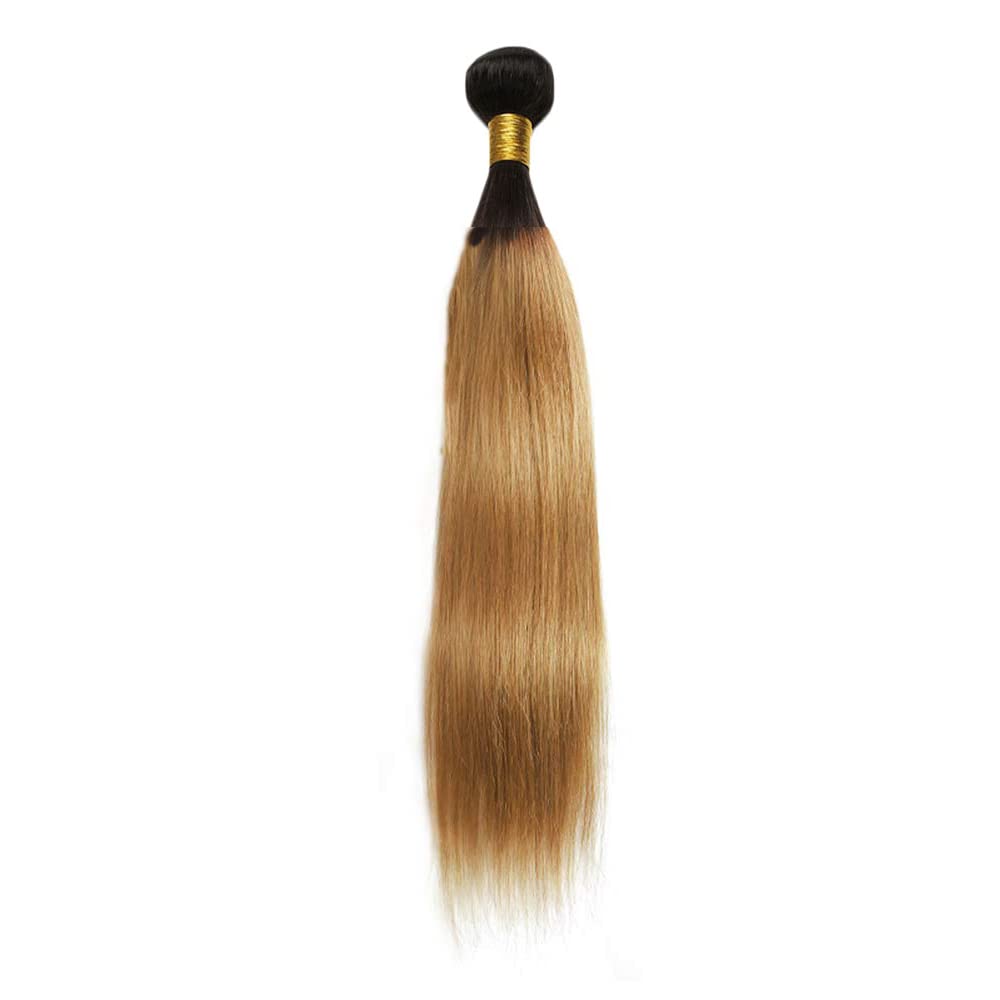 Ombre Black & Ash Blonde (1B/27) Straight 100% Virgin Human Hair Bundles | Sleek Two-Tone