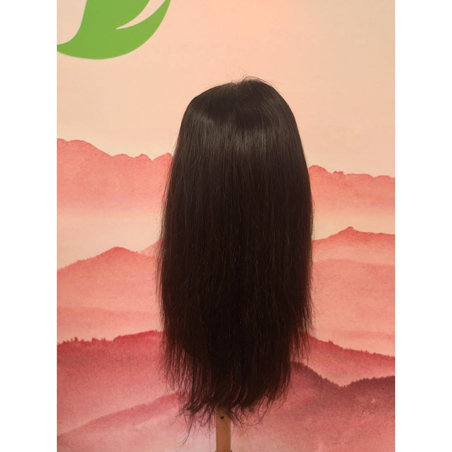 5x5 Wear To Go Glueless Wig Straight Lace Closure wig 100 Virgin Human Hair Natural Color Wig Swiss Lace, Skin-melt Lace, Invisible Lace