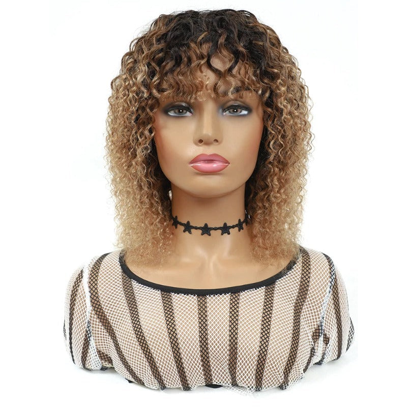 Brazilian Human Hair Wigs
