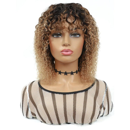 Brazilian Human Hair Wigs
