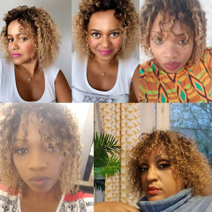 Brazilian Human Hair Wigs