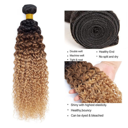 Ombre Black & Brown & Blonde (1B/4/27) Jerry Curl 100% Virgin Human Hair Bundles | Three-Tone Curls