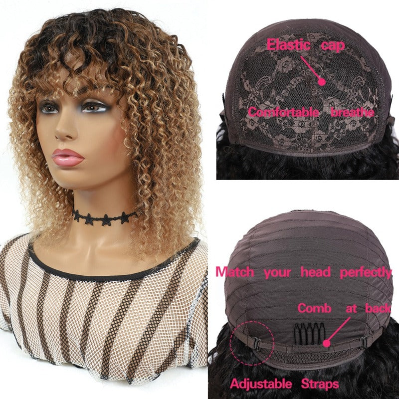 Brazilian Human Hair Wigs
