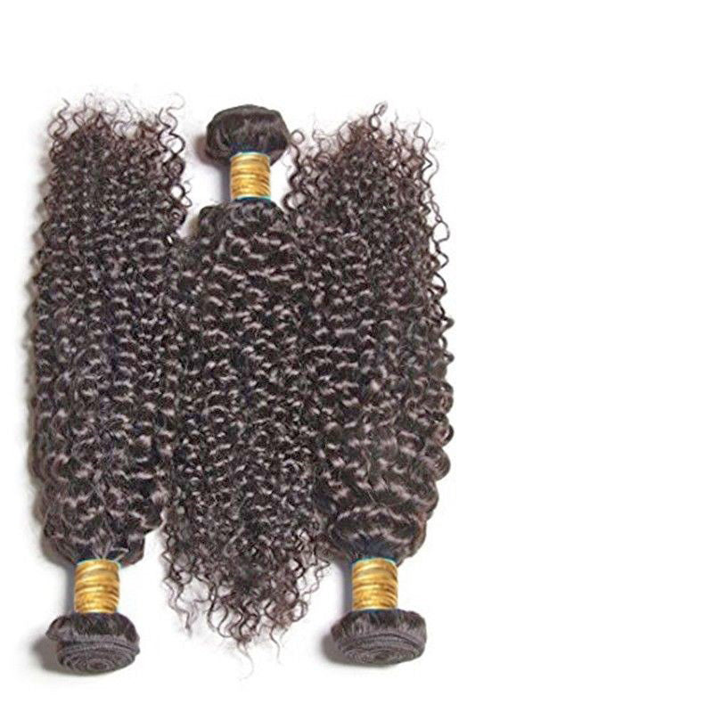 Medium Brown #4 Kinky Curly