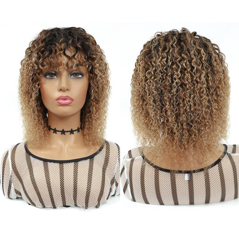 Brazilian Human Hair Wigs