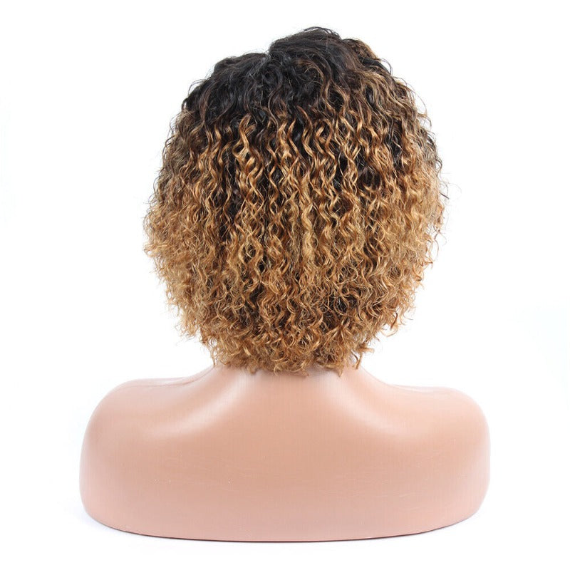 Ombre 1B/30/27 Curly Wig – 13x4 Lace Front 100% Human Hair Free Part