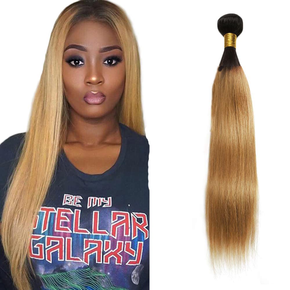 Ombre Black & Ash Blonde (1B/27) Straight 100% Virgin Human Hair Bundles | Sleek Two-Tone
