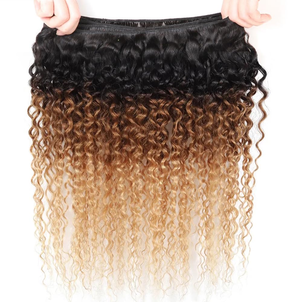 Ombre Black & Brown & Blonde (1B/4/27) Jerry Curl 100% Virgin Human Hair Bundles | Three-Tone Curls