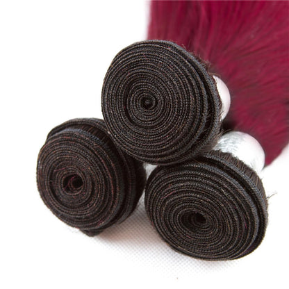 Burgundy (#99J) Straight 100% Virgin Human Hair Bundles | Bold Color & Silky Smooth | Single Donor Cuticle Intact 100g