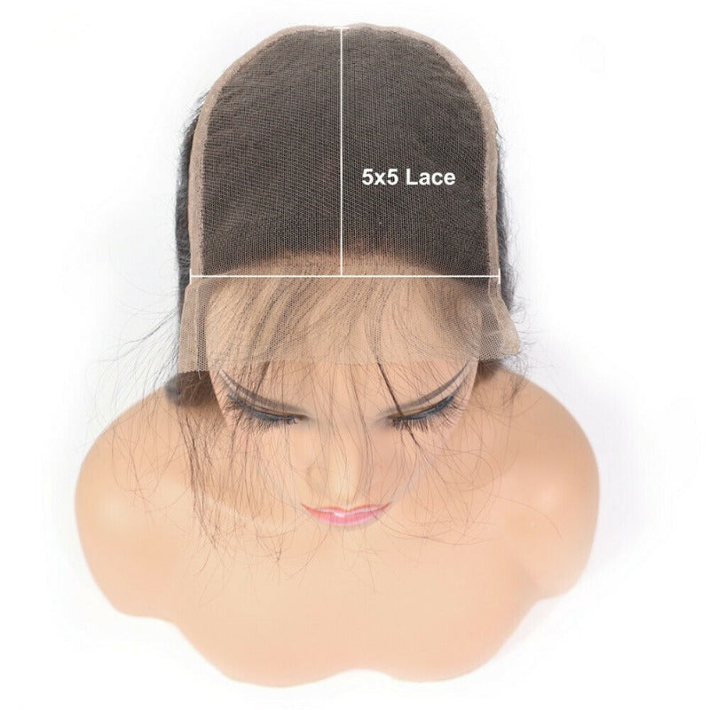 5x5 HD Lace Closure Wig Straight Human Hair Swiss Lace, Skin-melt Lace, Invisible Lace