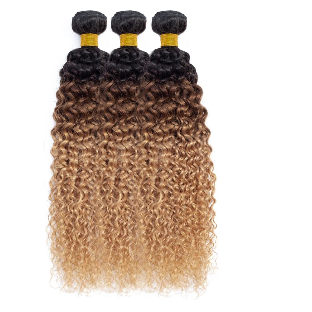 Ombre Black & Brown & Blonde (1B/4/27) Jerry Curl 100% Virgin Human Hair Bundles | Three-Tone Curls