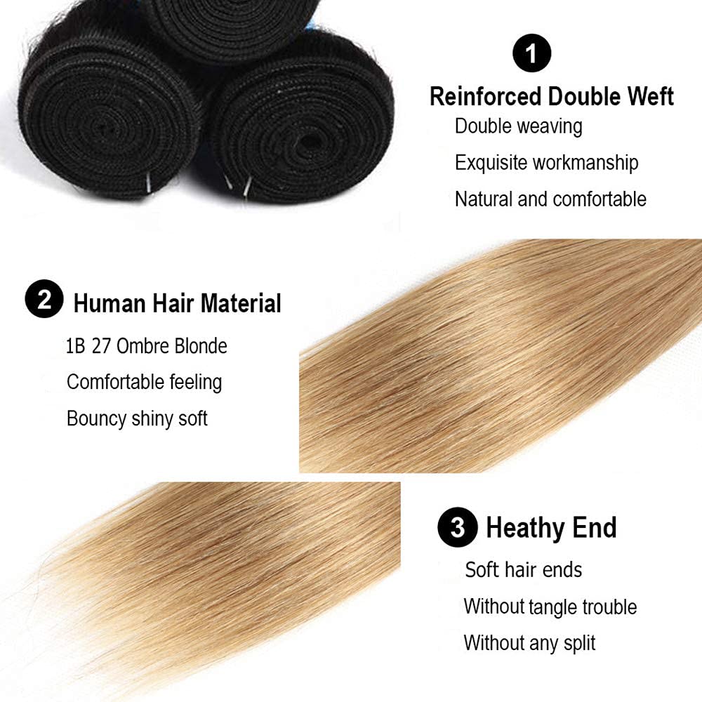 Ombre Black & Ash Blonde (1B/27) Straight 100% Virgin Human Hair Bundles | Sleek Two-Tone