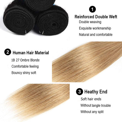 Ombre Black & Ash Blonde (1B/27) Straight 100% Virgin Human Hair Bundles | Sleek Two-Tone