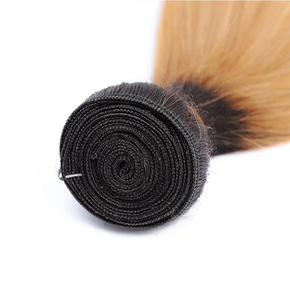 Ombre Black & Ash Blonde (1B/27) Straight 100% Virgin Human Hair Bundles | Sleek Two-Tone