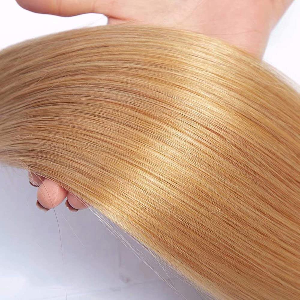 Ombre Black & Ash Blonde (1B/27) Straight 100% Virgin Human Hair Bundles | Sleek Two-Tone