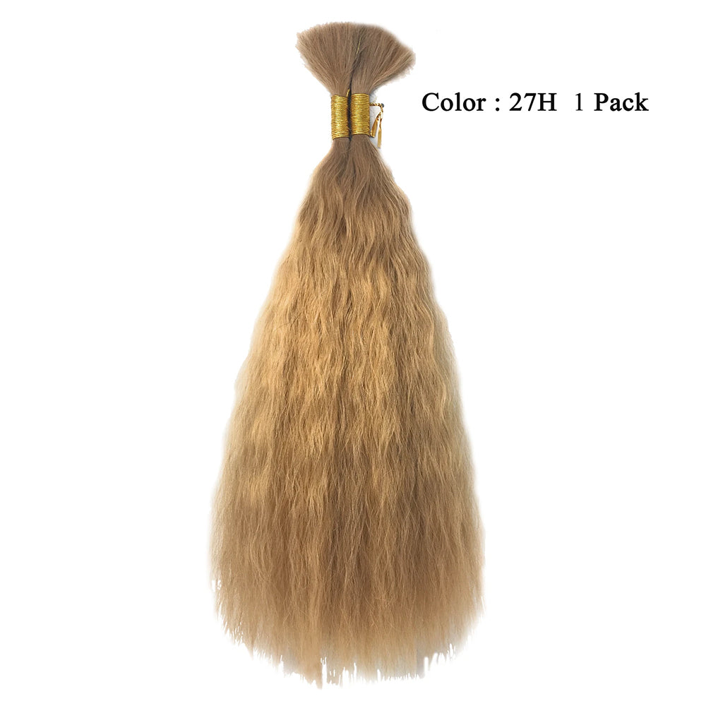 Wet N Wavy Bulk hair human hair blend Braiding 